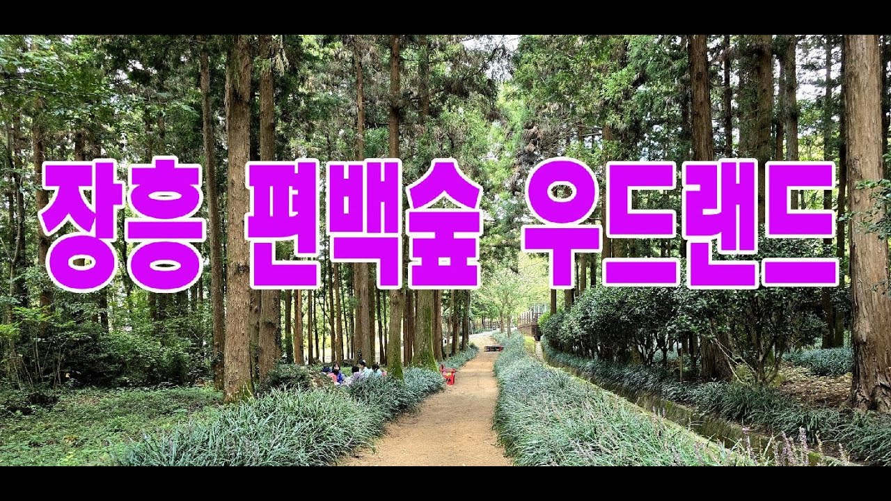 장흥 가볼만한 곳, 장흥 편백숲 우드랜드, #4k, #장흥편백숲우드랜드, #편백숲, #힐링여행, #자연속에서, #장흥가볼만한 곳, #아이들을위한공간,