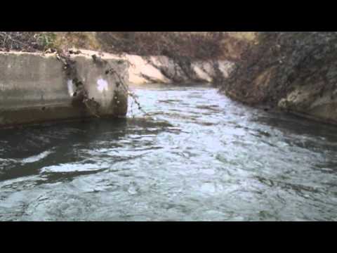 1 თებერვალი, 2015   არხში მოქცეული მაშავერა