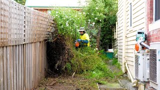 Garden Catastrophe Cleared | Have You Ever Seen Anything Like This 😮