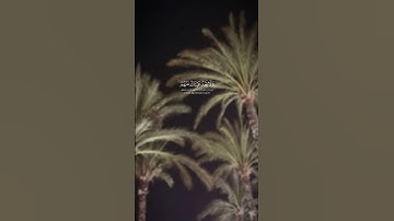 سوره الكهف♥️  #fypage#سورة_الكهف #سورة_البقرة #shortvideo #اكسبلور #قرآن #foryourpage #قران_كريم