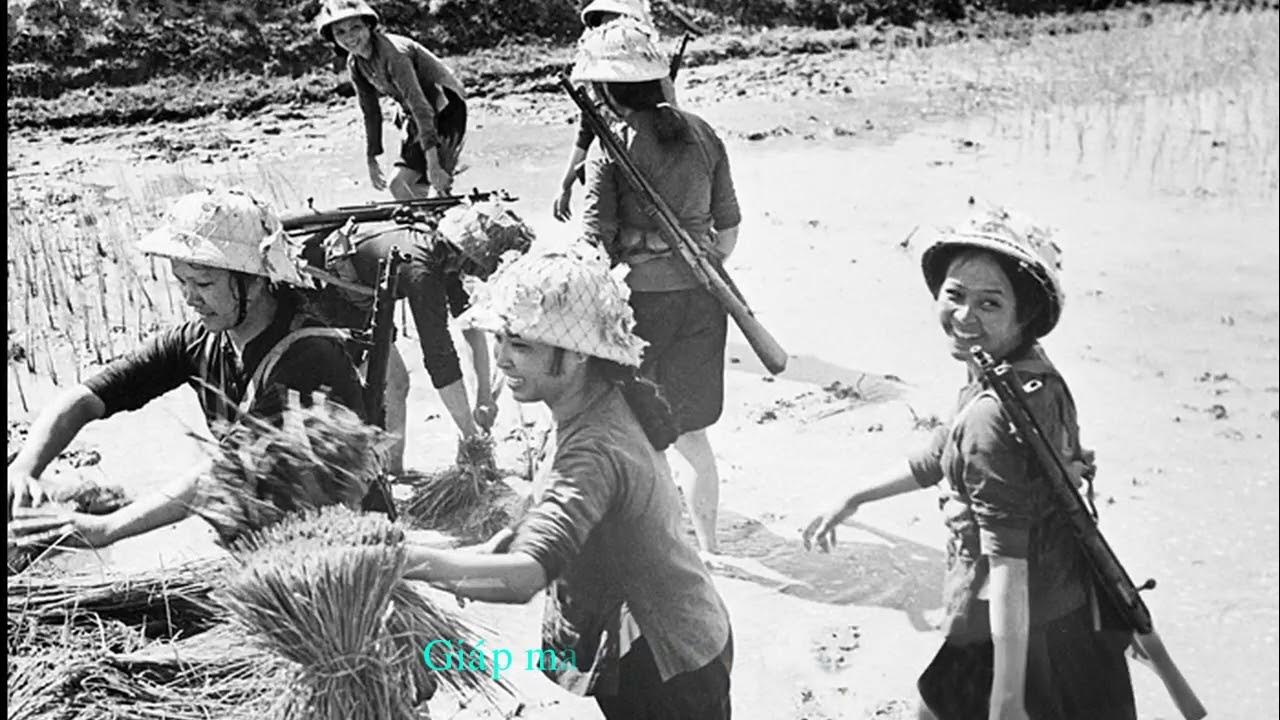 Мэй фуонг туи. Viet phu. Viet phu. Почтовые марки вьетнама национальная живопись 1 марка. День вьетнамской женщины.