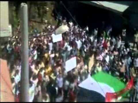 اغنية حانن للحرية وصفي معصراني