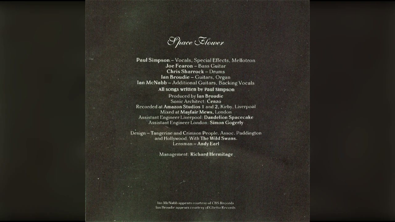 5. Space Flower - THE WILD SWANS - Space Flower 1990 