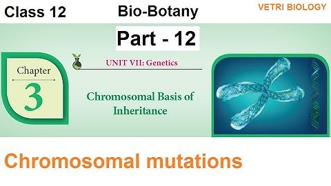 12th Chapter 3 Part 12 Chromosomal Basis of Inheritance  Bio Botany