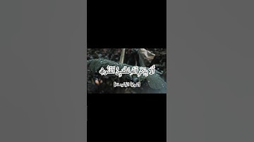 #القرآن_الكريم_استمع لتلاوة خاشعة، آية تُحيي الروح وتملأ القلب طمأنينة وسلامًا
