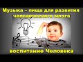 Музыка физически меняет мозг. Великая музыка - вершина Культуры. Живой звук в каждую школу.