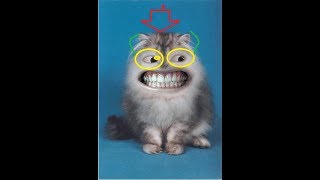 ПРИКОЛЫ С КОТАМИ С ОЗВУЧКОЙ на русском Смешные коты и кошки 2018 ПОПРОБУЙ не сме ПРИКОЛЫ С КОТАМИ С ОЗВУЧКОЙ на русском Смешные коты и кошки 2018 ПОПРОБУЙ не сме