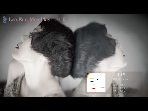 09 가시나무