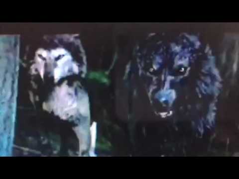 在 YouTube 上觀看「Ryu - Radio Pollution Featuring Gravity Christ & Divine Styler」