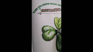 Coloring Four Leaf Clover @Coloring with Clara