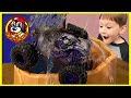 Monster Jam Toy Trucks - Downhill Racing: WATERFALL RUN (Color Changing Grave Digger, Max-D &amp; more!)