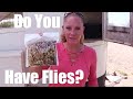 Do You Have Flies?