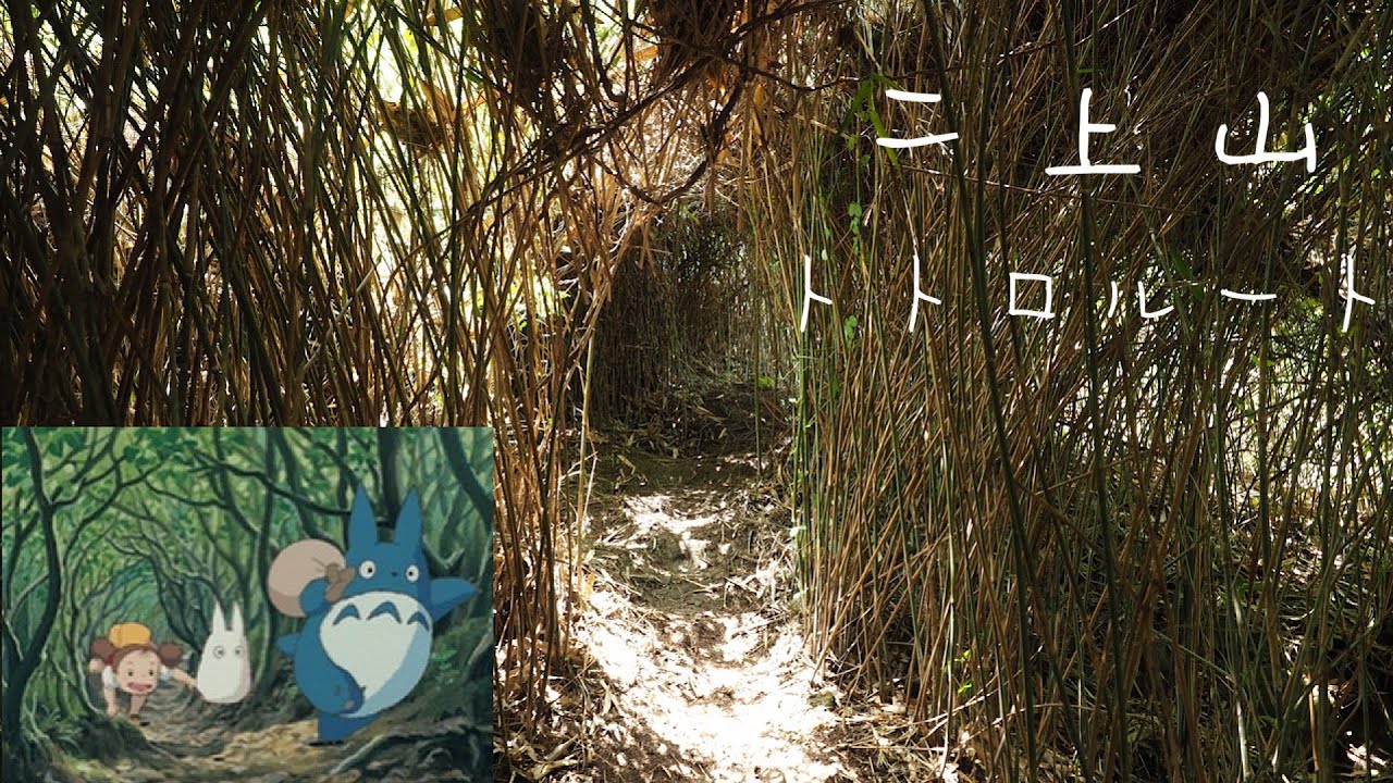 Mount Nijo [Climbing] Totoro Route Kansai Climbing Diary - YouTube