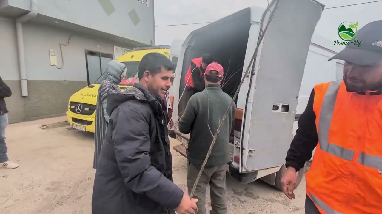 توزيع أزيد من 1000 شتلة لفائدة فلاحي دوار لعزيب بوجيبار