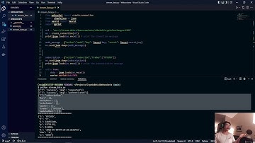Stream Real-time Crypto Data with Alpaca Websockets (Simplest Solution)