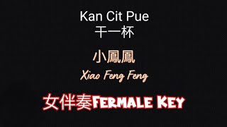 小鳳鳳Xiao Feng Feng~~干一杯Kan Cit Pue 伴奏no vocal（女調fermale Key)