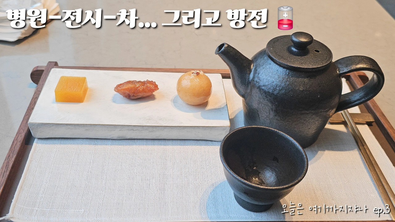 병원-전시-차... 그리고 방전 🪫 | 오늘은 여기까지쟈나 ep.3