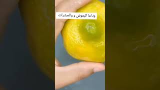 كيفية القضاء على البعوض و الحشرات الحشرات How to eliminate mosquitoes and insects shorts  diy