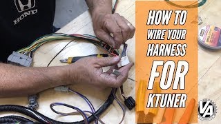 How to Wire Your K Swap Harness for KTuner