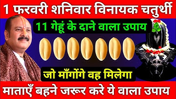 1 फरवरी माघमास शनिवार विनायक चतुर्थी को 11 गेहूं के दाने वाला उपाय जरूर करे || Pradeep Ji Mishra