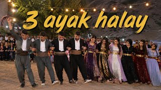 Kürtçe Halay 3 Ayak Hozan Reşo - Seren