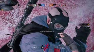 Insane Caveira Ace Plus 1V4 Clutch