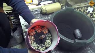 Italian FIREWORKS Factory - Cylinder Shells maken like a Boss !