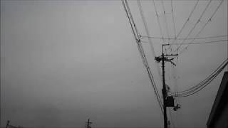 20190325mon ”The Birds”