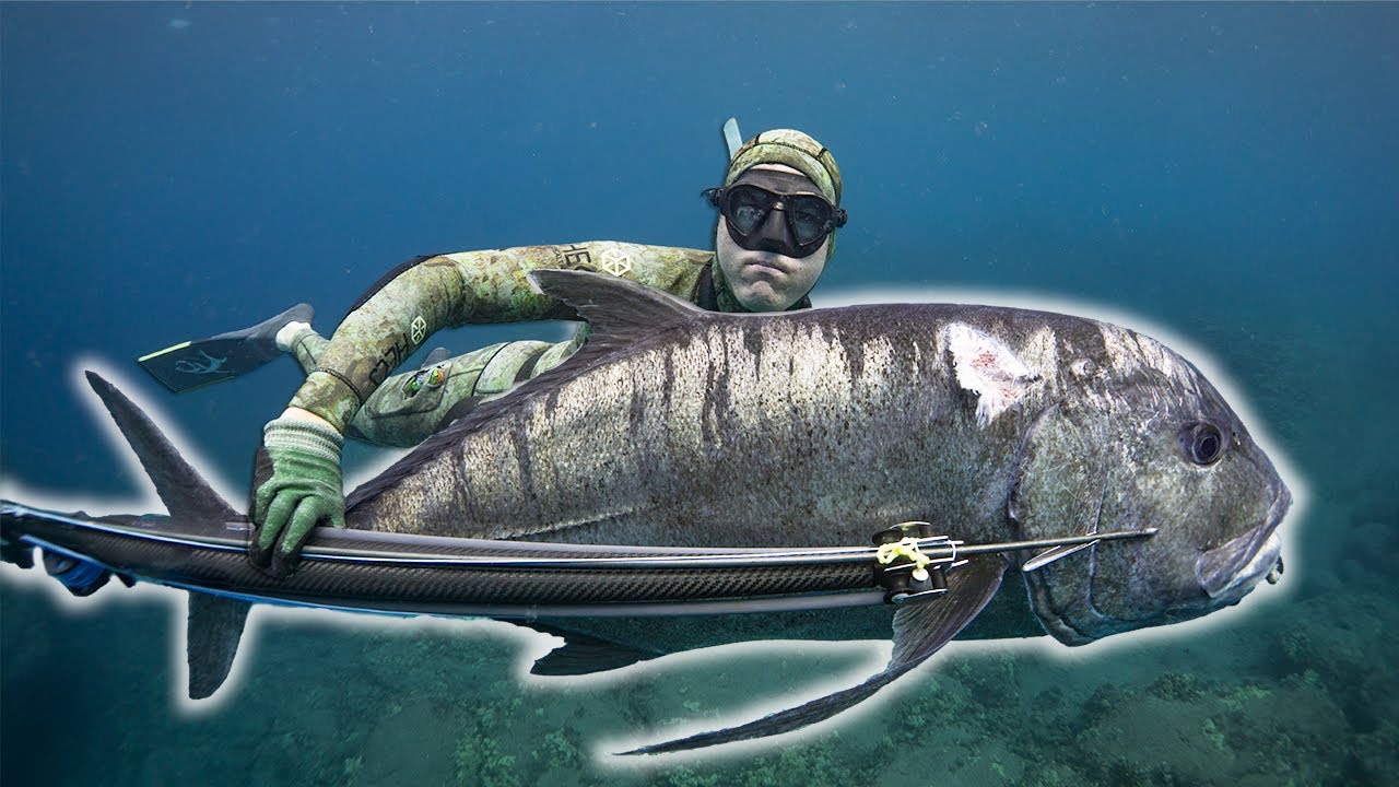 Spearfishing Hawaii for Ulua and Uku with My New Speargun 