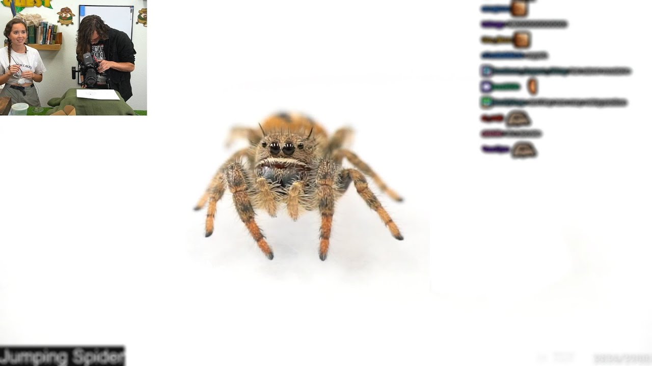 Bugs In 4K 🐜🐛🐞📸 - 5/17/23