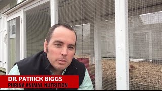 Chatting About Chickens: Getting Started  | Tractor Supply Co.