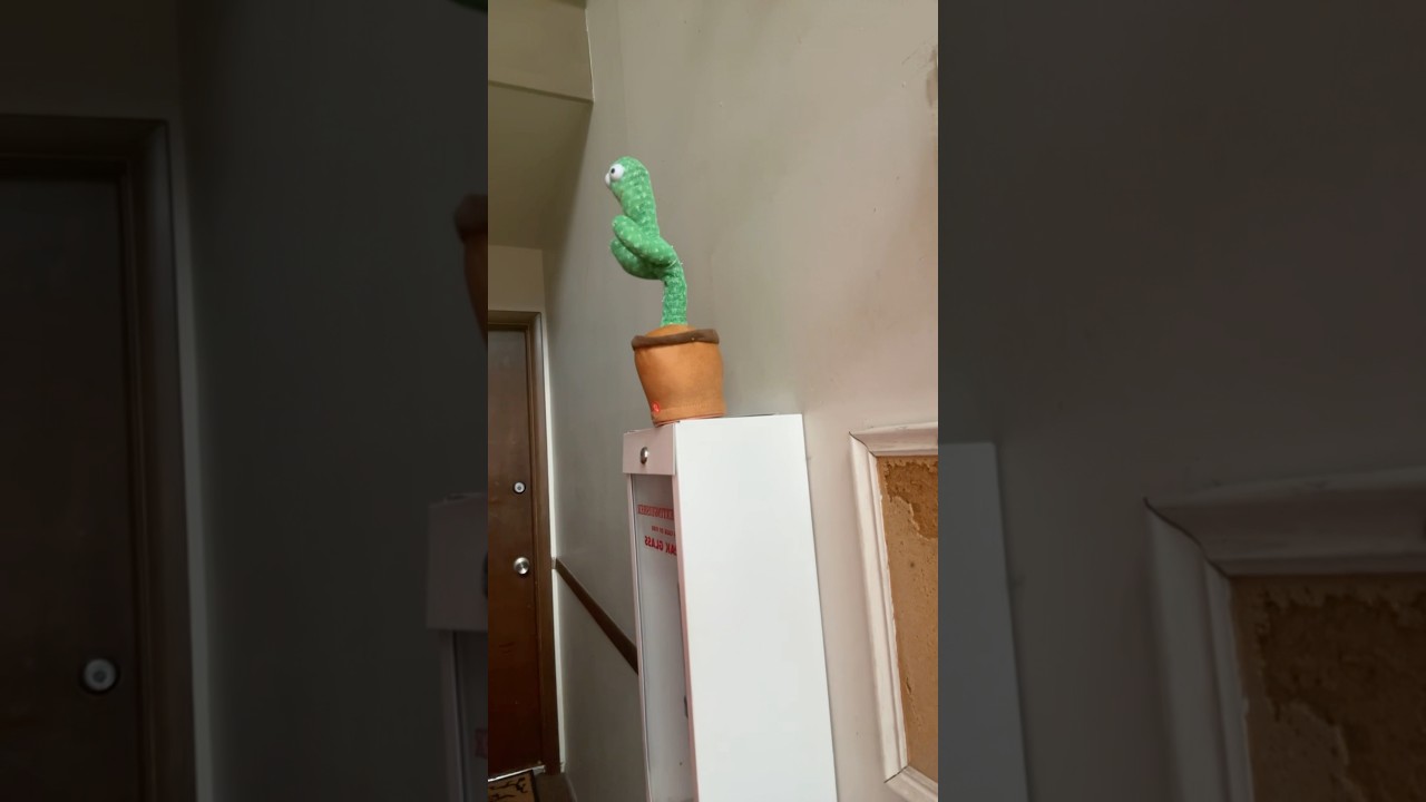 Talking Cactus&hellip;🌵🤣 #funny  #shorts #skit