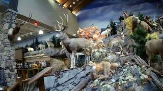 Alaska Cabelas Shopping