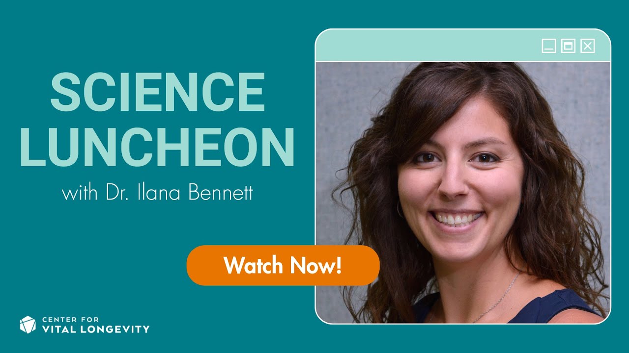 Aging of the locus coeruleus: Implications for memory