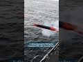 Torpedo testing for HMS St Albans