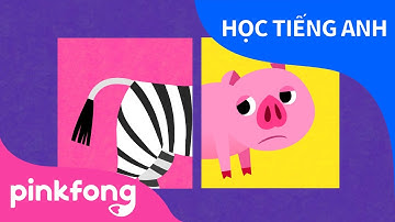 Bạn Có Thấy Đuôi Của Mình Không? | Tieng anh cho tre em | Pinkfong! Những bài hát cho trẻ em