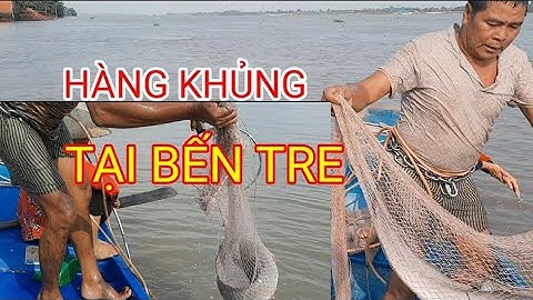tập5  .hôm nay chú sáu ,vua cá ngát/ xuống cầu cổ chiên bến tre/  săn cá ngát khủng/ cả nhà ơi