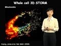 Xiaowei Zhuang (Harvard/HHMI) Part 1: Super-Resolution Fluorescence Microscopy