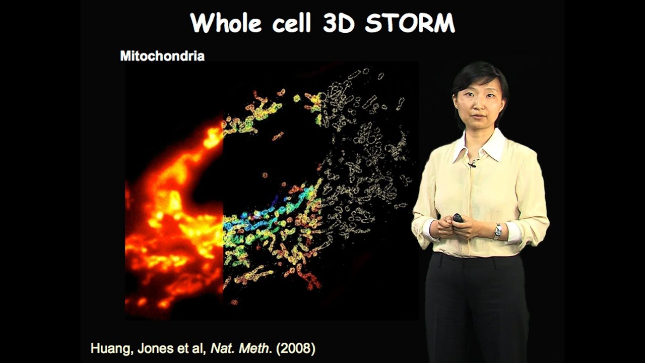 Xiaowei Zhuang (Harvard/HHMI) Part 1: Super-Resolution Fluorescence Microscopy
