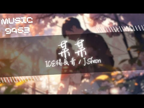 ICE楊長青, J.Sheon - 某某 | 把我心給偷了 或是把我救了 | 動態歌詞 Lyric Video