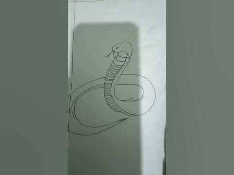 Python snake art with pencil. How to draw python snake. #kishoreganj ...