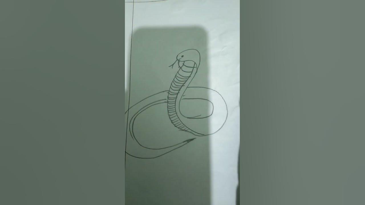 Python snake art with pencil. How to draw python snake. #kishoreganj ...