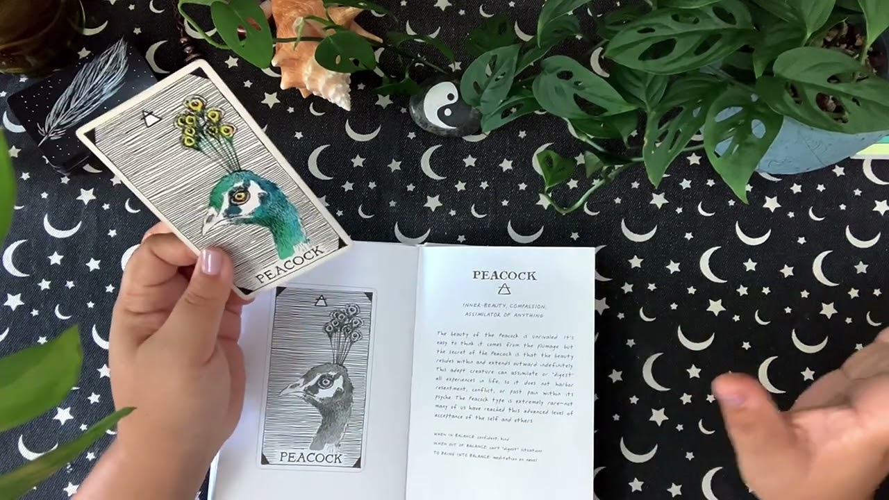 Gemini ♊️ You’ve Outgrown This And It Shows! 🌱✨