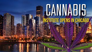 Cannabis Research Institute opens in Chicago, looking to dig deep into marijuana