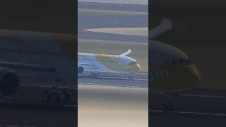 ✈️SCOOT Boeing 787-9 Take Off From Singapore Changi International Airport