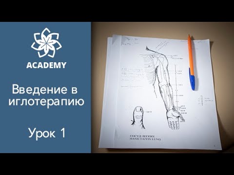 Введение в иглотерапию. Академия акупунктуры Акумед.