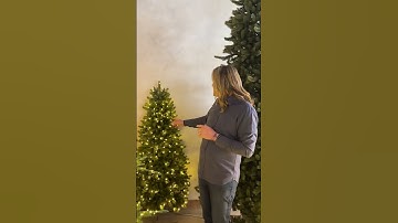 Discover Balsam Hill