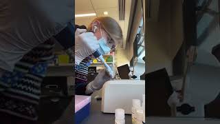 Isolating Plasmids From E. Coli And Sequencing Dna Lab Time