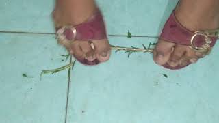 Flowers Leaf Crushing.. Asmr..