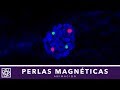 Mendel | Perlas Magnéticas